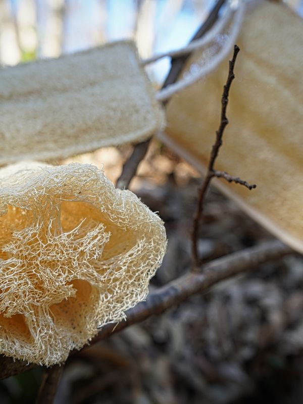 Uso de luffa en piel sensible