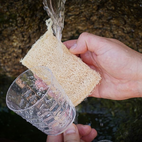 Luffa secándose al sol