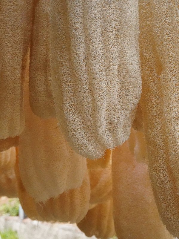 Exfoliación suave