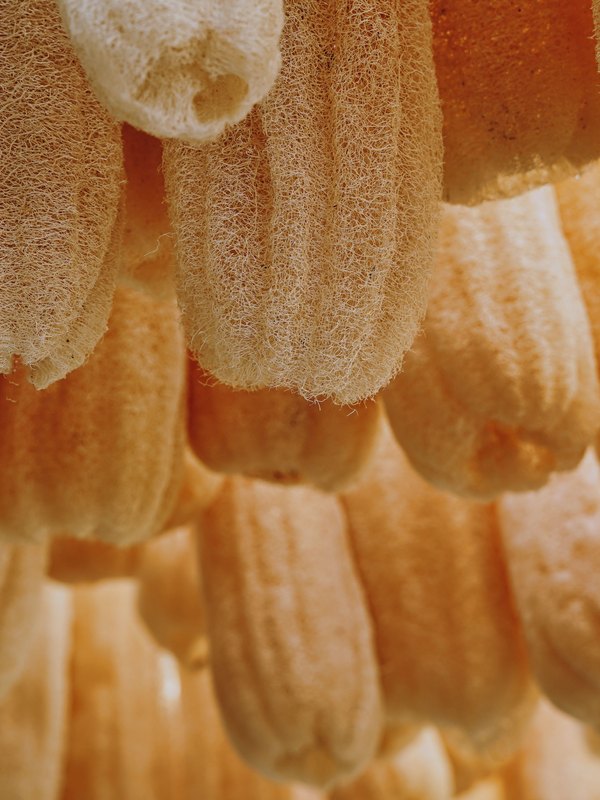 Duradera y compostable