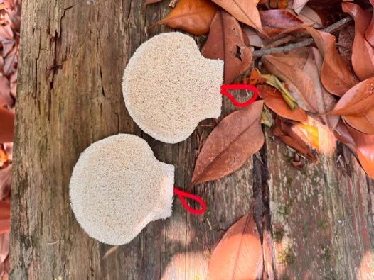 El pequeño imprescindible que muchos peregrinos descubren en el Camino de Santiago